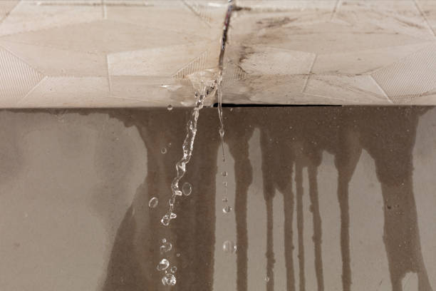 Professional Water Damage Repair technician working in Cuney, TX